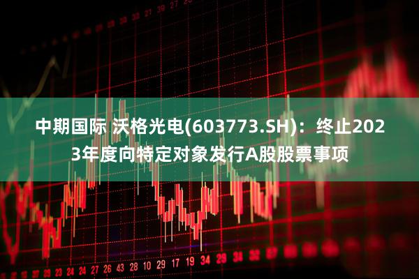 中期国际 沃格光电(603773.SH)：终止2023年度向特定对象发行A股股票事项