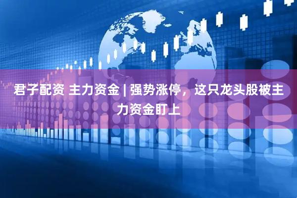 君子配资 主力资金 | 强势涨停，这只龙头股被主力资金盯上