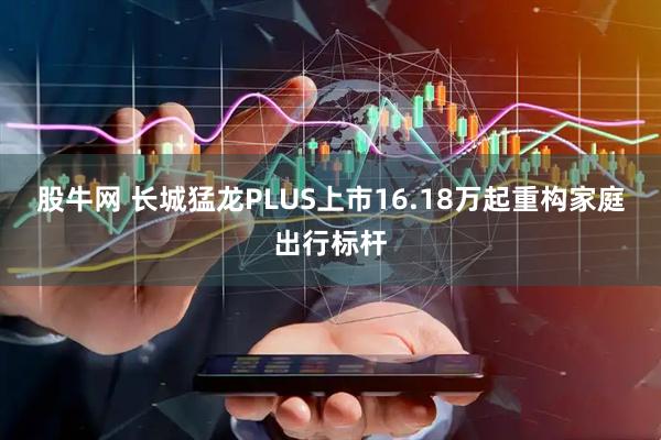 股牛网 长城猛龙PLUS上市16.18万起重构家庭出行标杆